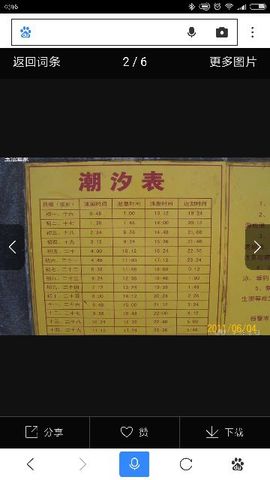 涛宝说句再见主播照片