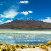 逆流成河n*的头像