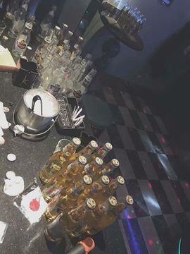 北极今天有狗了吗主播照片