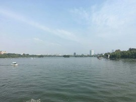 ★江南♥烟雨客★主播照片