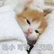 再没可能遇到这样的你