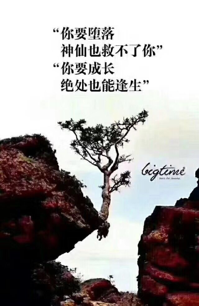 吖?休息的主播照片
