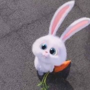 蝶恋花cxt海报