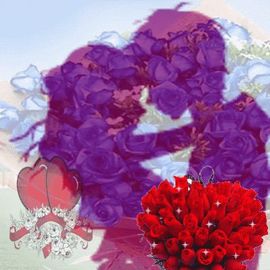 高冷男神浩南主播照片