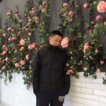 往事随风vrp8海报