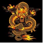 在最帅时遇见最美的你