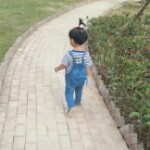 251海之洛海报
