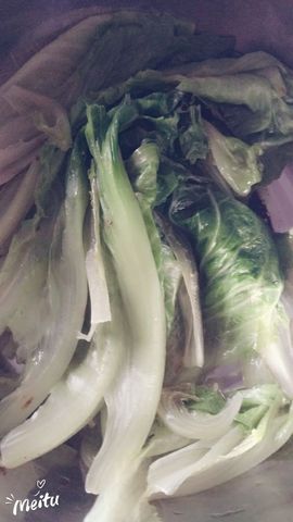 涛宝说句再见主播照片