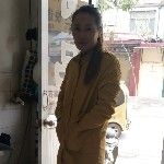 小燕子来啦😄