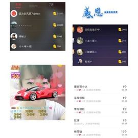 海鸽晚上见主播照片