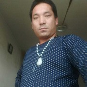 龙行天下e$w