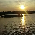丫总秘书