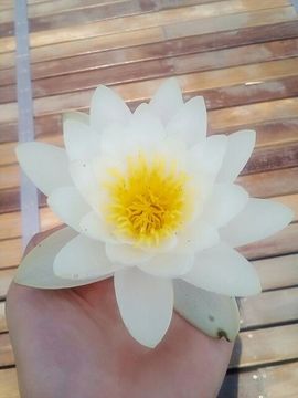 往事随风@♡主播照片
