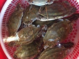 青岛，小佛主播照片