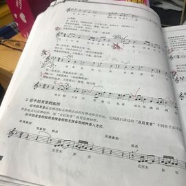 是你的小飞猪主播照片