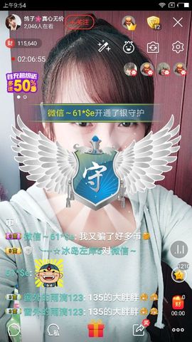 海鸽晚上见主播照片