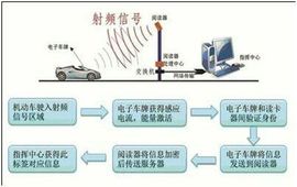 趁年轻，使劲嗨主播照片