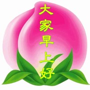 飞翔eeg