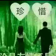 牛牛dgr