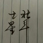 北斗星9186的头像