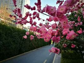 暖心今晚直播主播照片