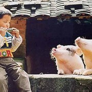 开心一族5!1