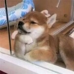 雨雨雨雨雨巷