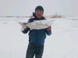 针对性主播照片