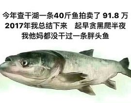 阿年.....主播照片