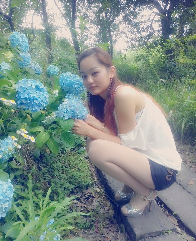 风中的风铃的图片