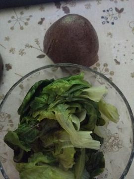 涛宝说句再见主播照片