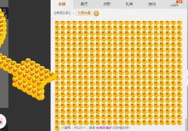 ~菲儿~不忘初心主播照片
