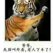 陈老二d6