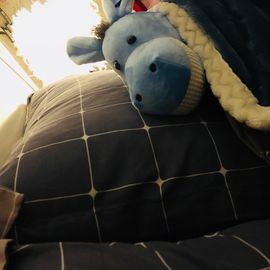 小小凡🎤（8点播）主播照片