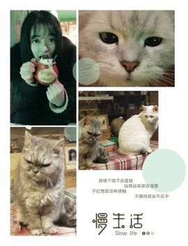 梦涵暂别做毕业设计主播照片