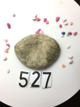 纯手工珠绣包主播照片