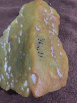 缅甸初见主播照片
