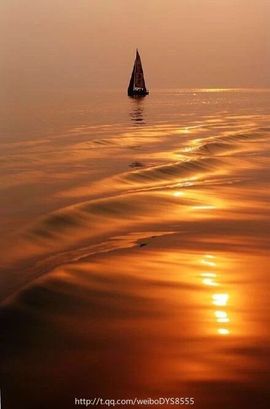 ♚浪tao哥主播照片