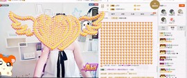 一只雁~主播照片