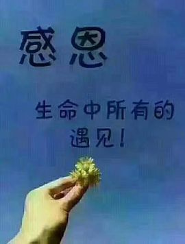 冰凉的夜🌠主播照片