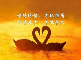 ◆◇の沫沫守候﹎主播照片