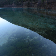 焋（甑）海报