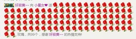 大喵喵真想有人宠主播照片