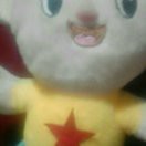 红丽o$z