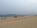 绽放的生命p海报