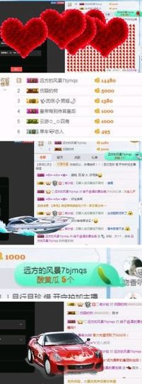 海鸽晚上见主播照片