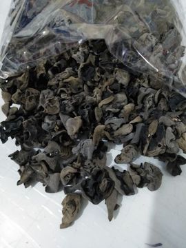 钓便江湖主播照片