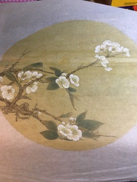 痴吃的猫主播照片