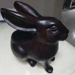 草原鸿雁……