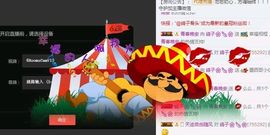 海鸽晚上见主播照片